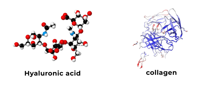 Hyaluronic Acid vs Collagen